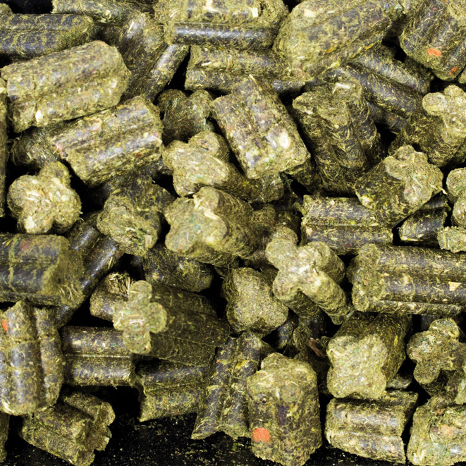 JR Farm - Grainless Complete Meerschweinchen - 1 x 1350g - 4