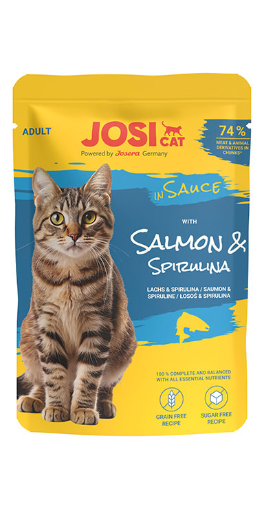 with Salmon in Sauce