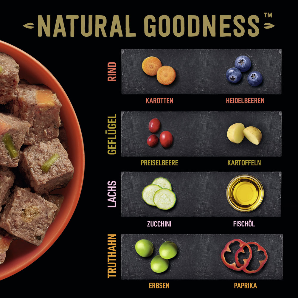 Cesar - Goodness MP Terrine mit Geflügel, Fisch, Rind, getreidefrei - 1 x 24X100g - 5