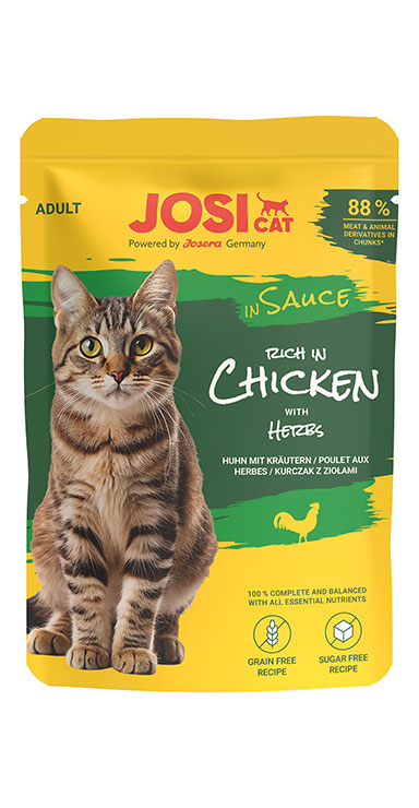 rich in Chicken in Sauce