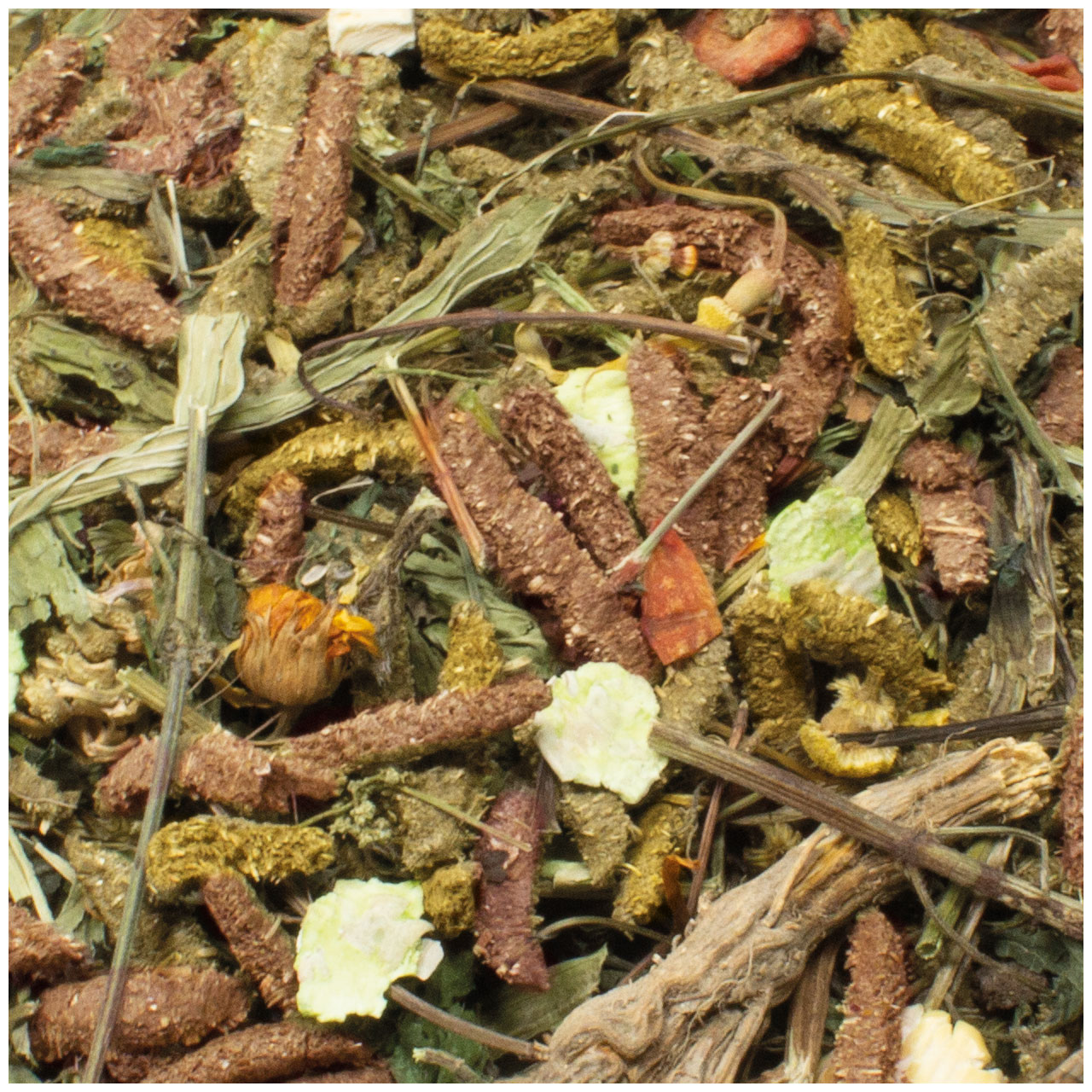 JR Farm - Grainless Mix Meerschweinchen - 1 x 650g - 2