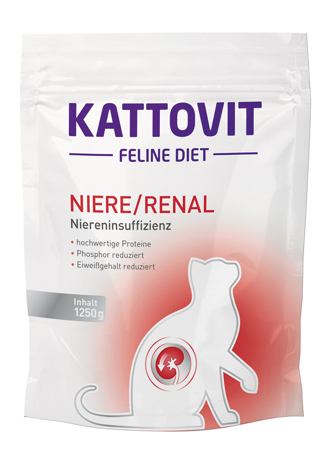 Niere/Renal