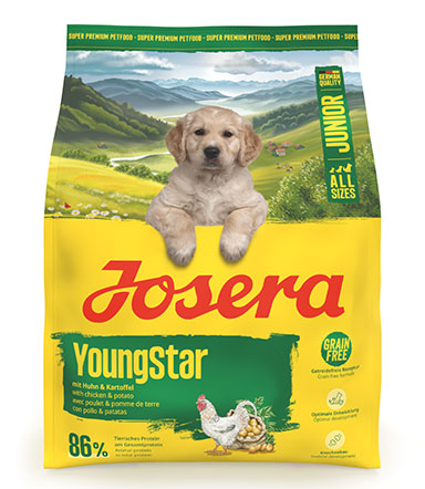 A/S Junior YoungStar