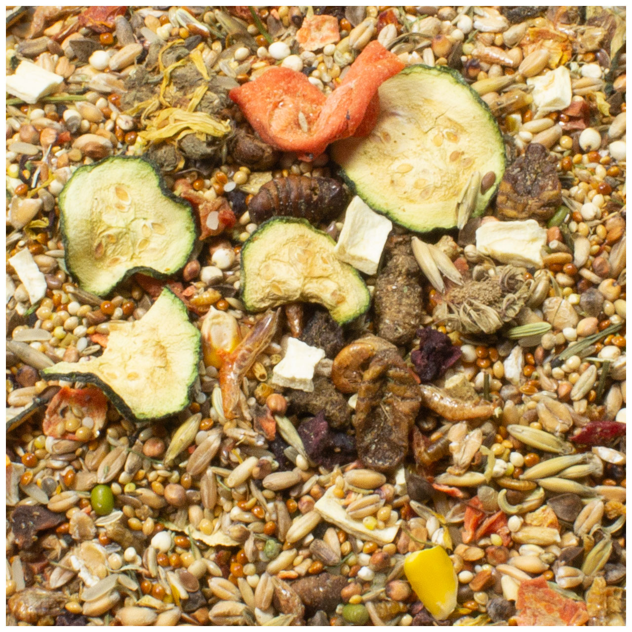 JR Farm - Farm Food Rennmaus Adult - 1 x 500g - 2