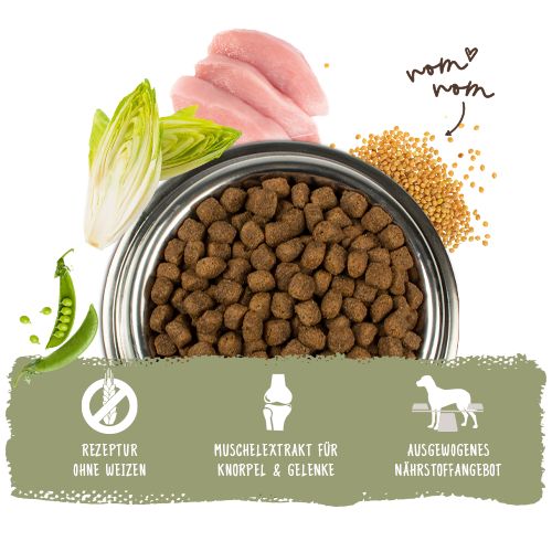 Bosch - Adult Geflügel & Hirse - 1 x 3kg - 6