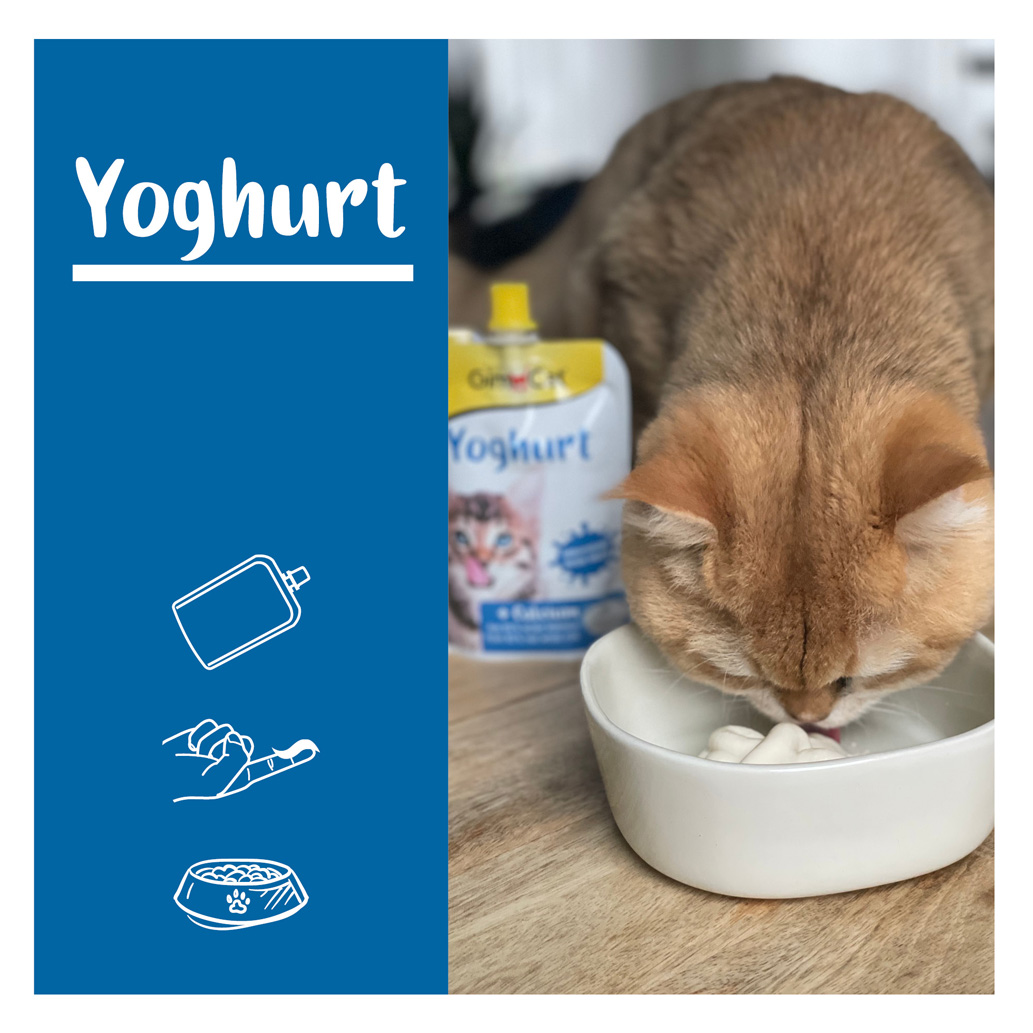 GimCat - Yoghurt - 1 x 150g - 4