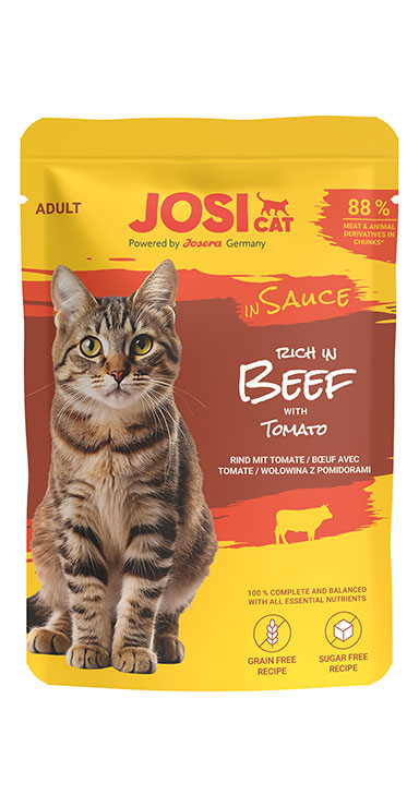 rich in Beef in Sauce