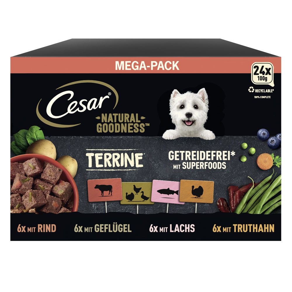Cesar - Goodness MP Terrine mit Geflügel, Fisch, Rind, getreidefrei - 1 x 24X100g - 3
