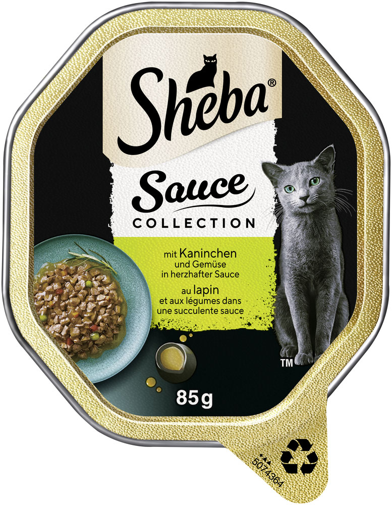 Collection Sauce mit Kaninchen und Gemüse in herzhafter Sauce