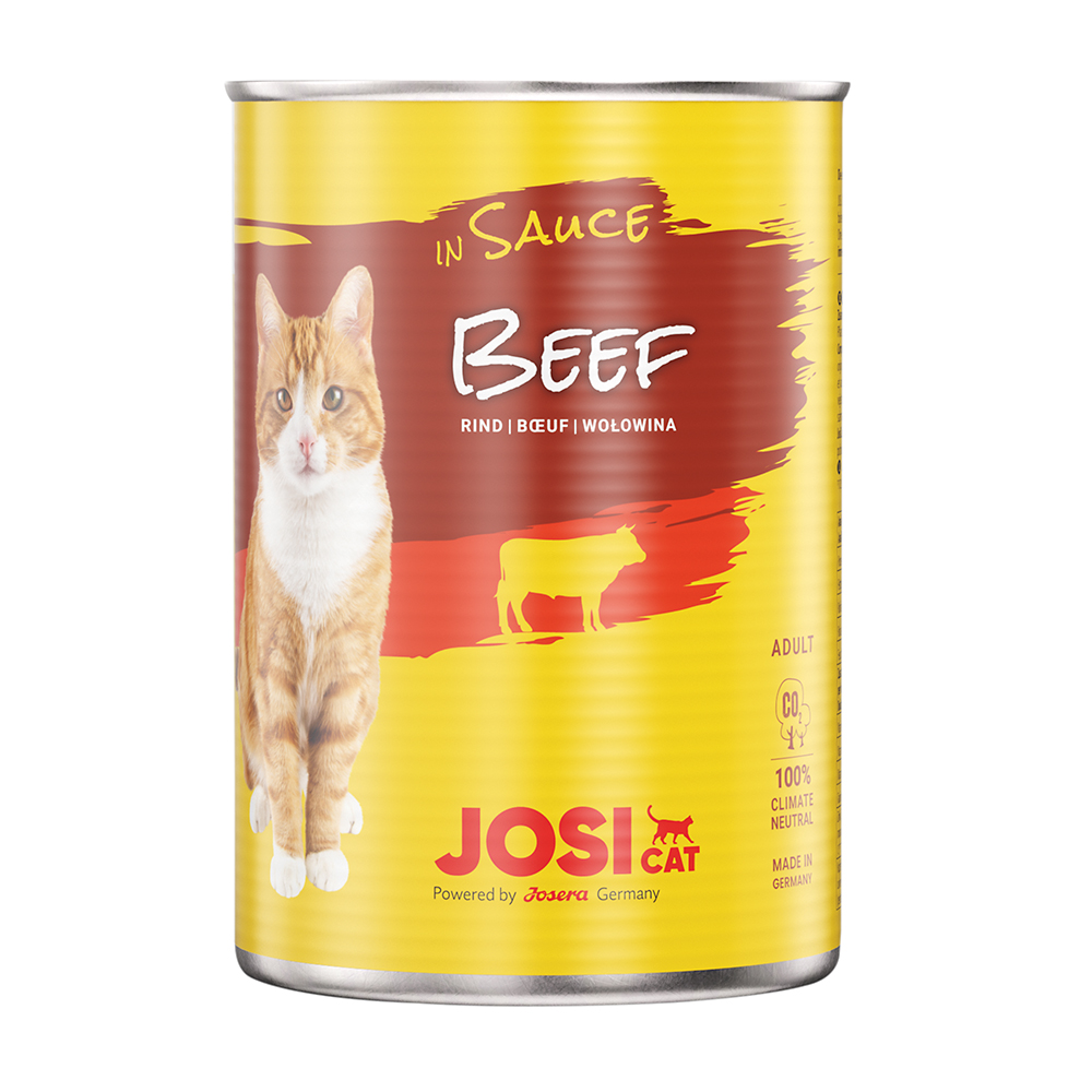 JosiCat Beef in Sauce