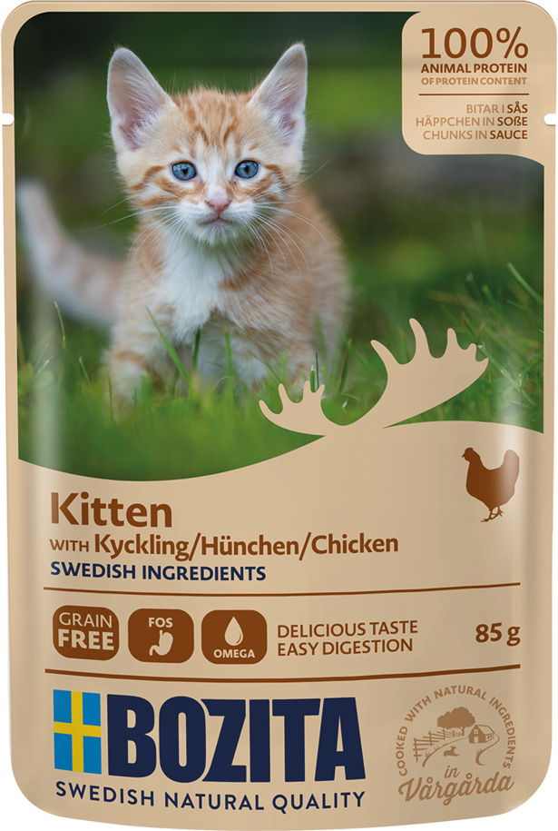 HiS Hühnchen für Kitten