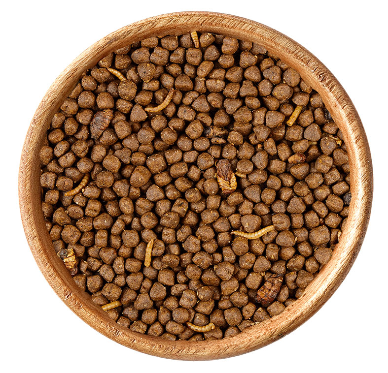 elles - Premium Igel-Menü 750g - 1 x 750g - 2