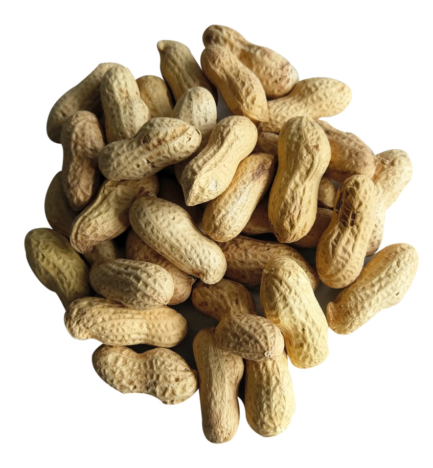 Erdnüsse in der Schale 10kg