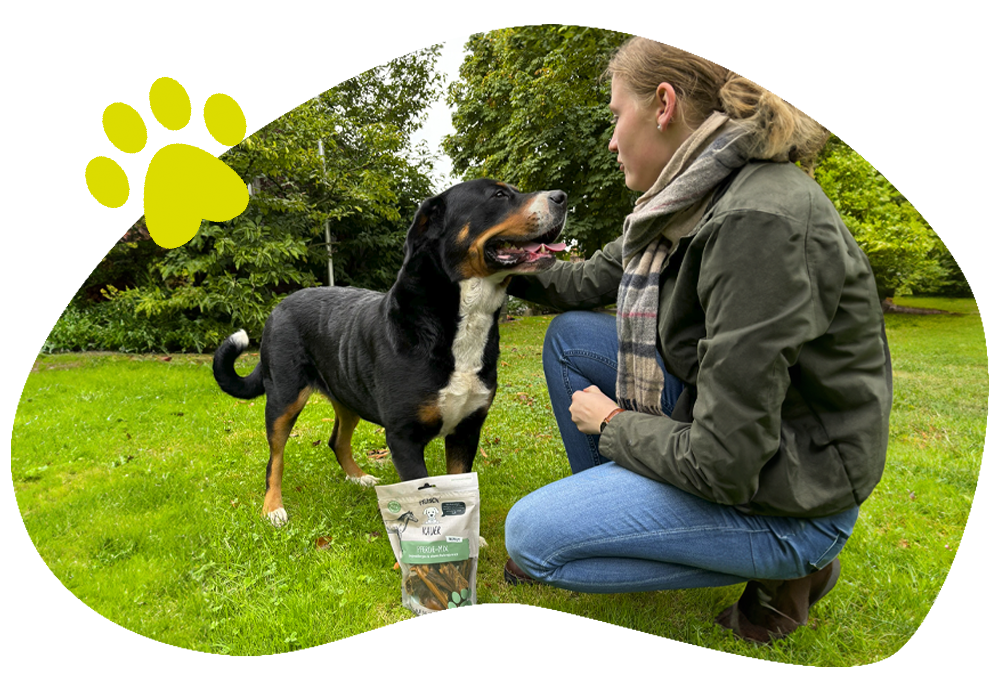 Junge-Frau-hockt-vor-Hund-Leckerli