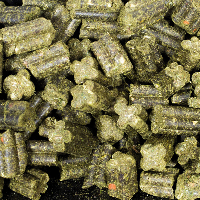 JR Farm - Grainless Complete Meerschweinchen - 1 x 1350g - 3