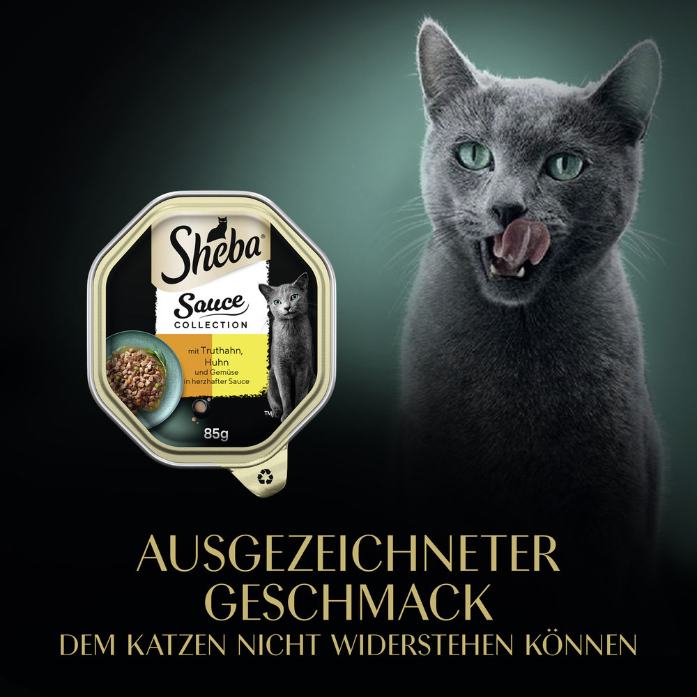 Sheba - Collection Sauce mit Truthahn, Hähnchen und Gemüse in herzhafter Sauce - 22 x 85g - 9