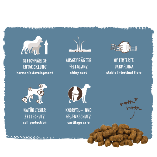 Bosch - Maxi Junior - 1 x 15kg - 4