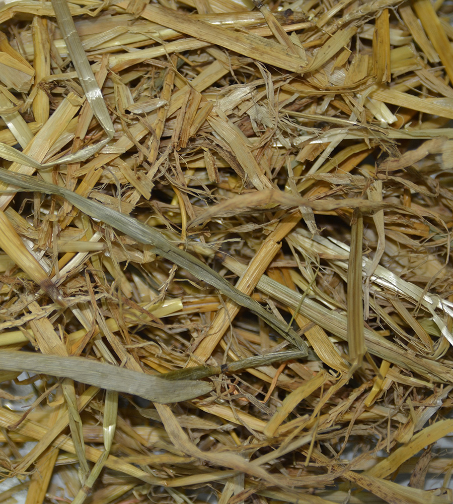 Chipsi - Farmland Stroheinstreu - 1 x 4kg - 2