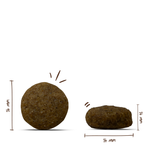 Bosch - Junior Lamm & Reis - 1 x 1kg - 3