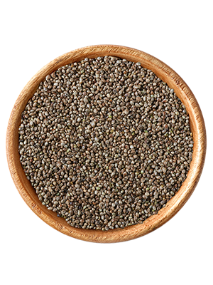 elles - Hanfsaat  25kg - 1 x 25kg - 2