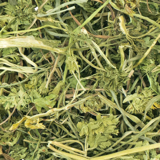 JR Farm - Petersilien-Salat - 6 x 50g - 3