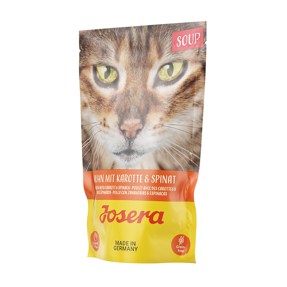 Soup Huhn mit Karotte & Spinat