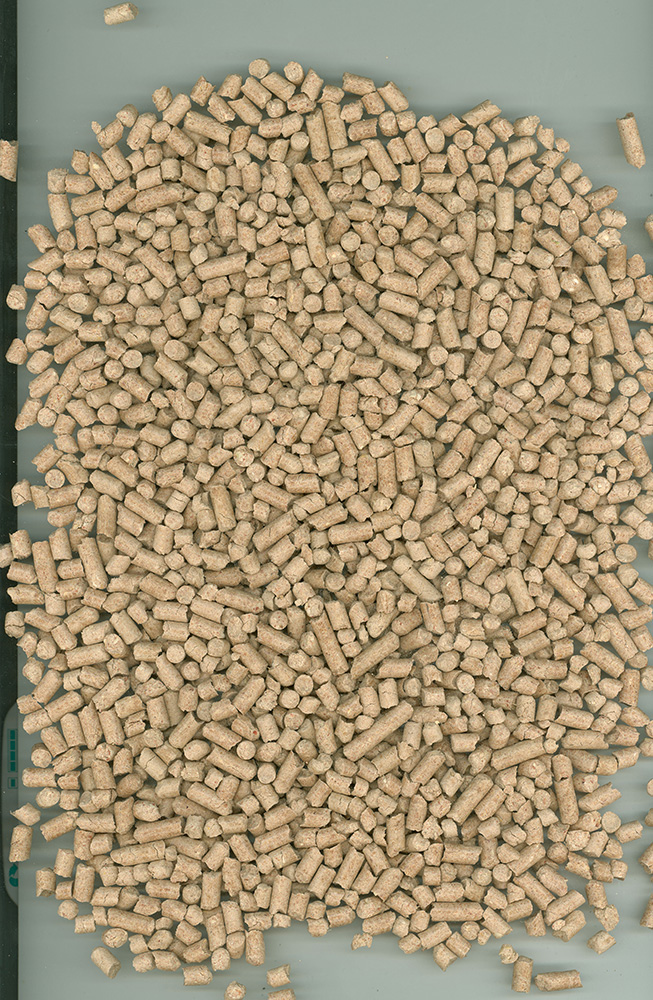 Chipsi - Family - 1 x 20 Liter - 2