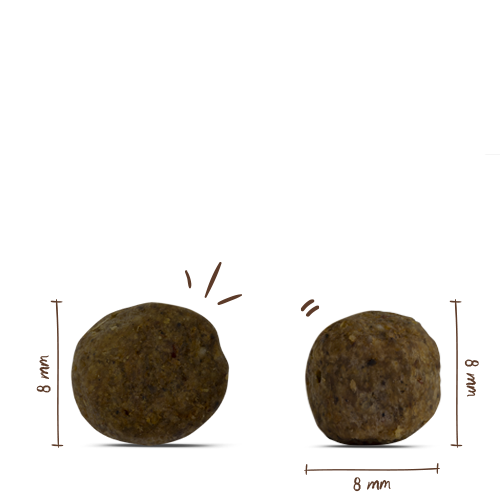 Bosch - Mini Senior - 1 x 2,5kg - 2