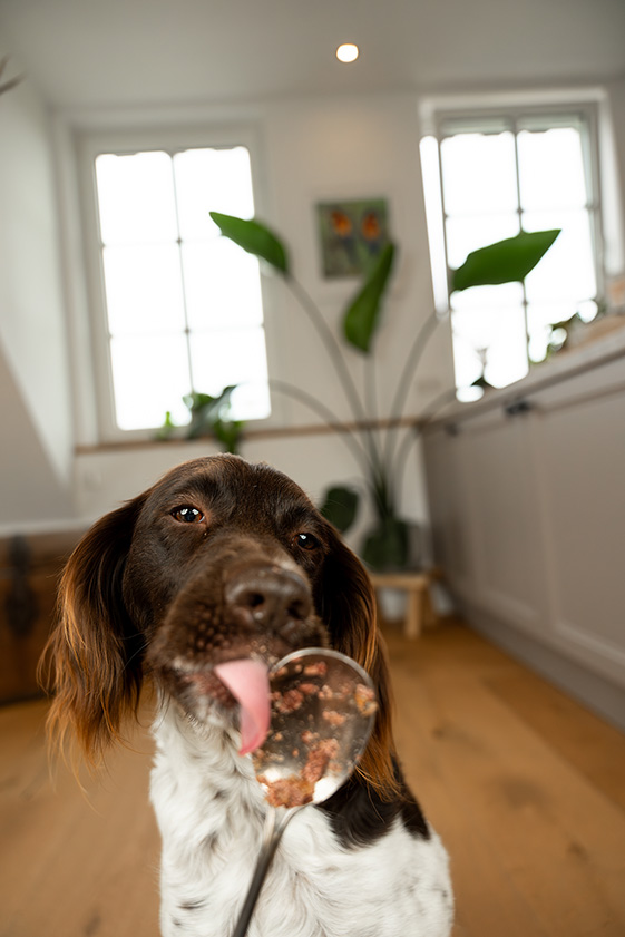 Primox - Hunde Nassfutter Huhn PUR 6 x 400G - 6 x 400g - 5