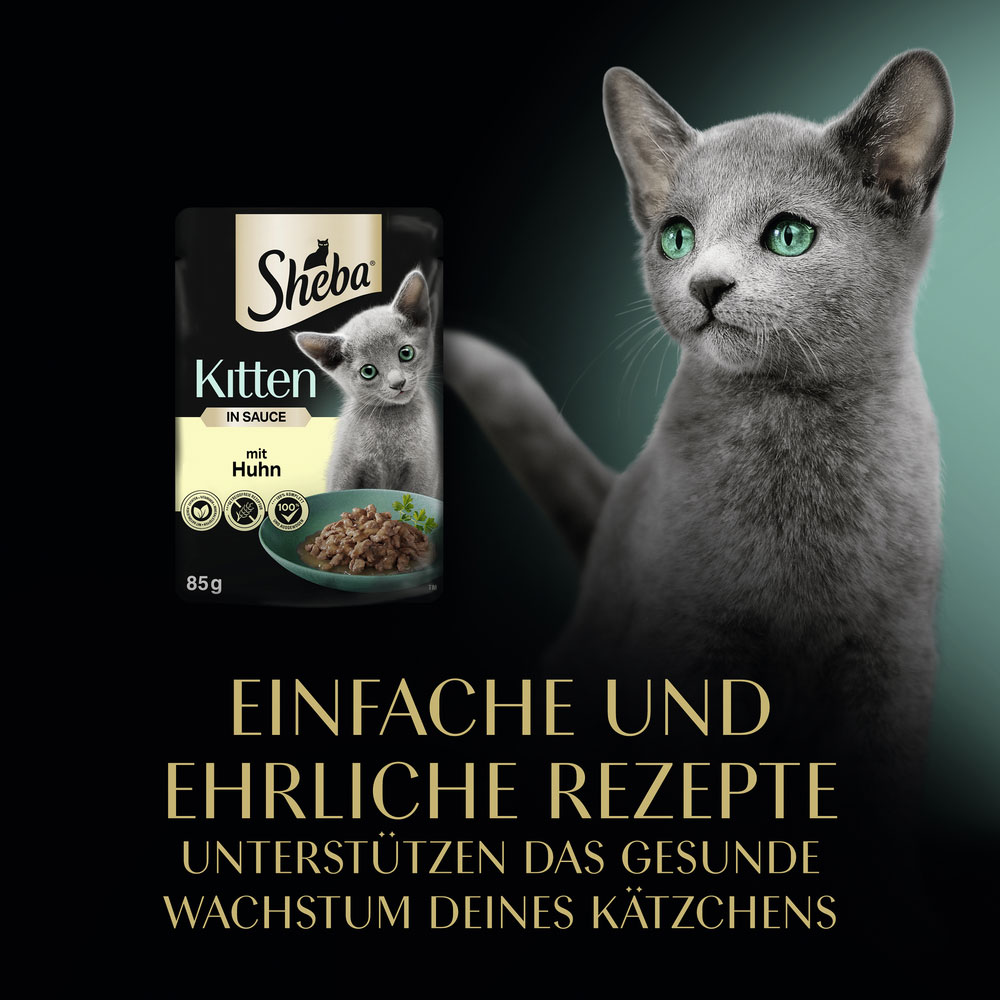 Sheba - Kitten mit Huhn in Sauce - 28 x 85g - 5