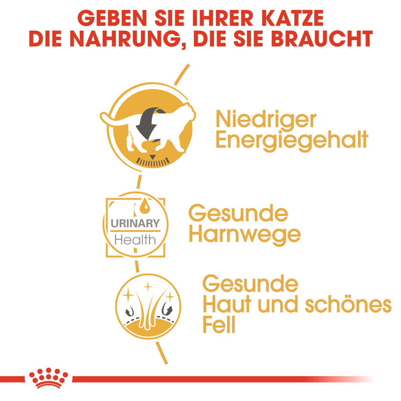 Royal Canin - FBN British Shorthair Adult Gravy - 1 x 12X85g - 3