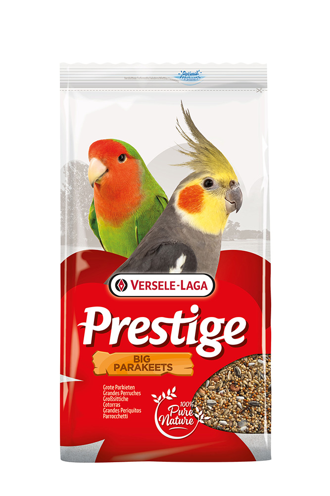 Prestige Gross-Sittiche