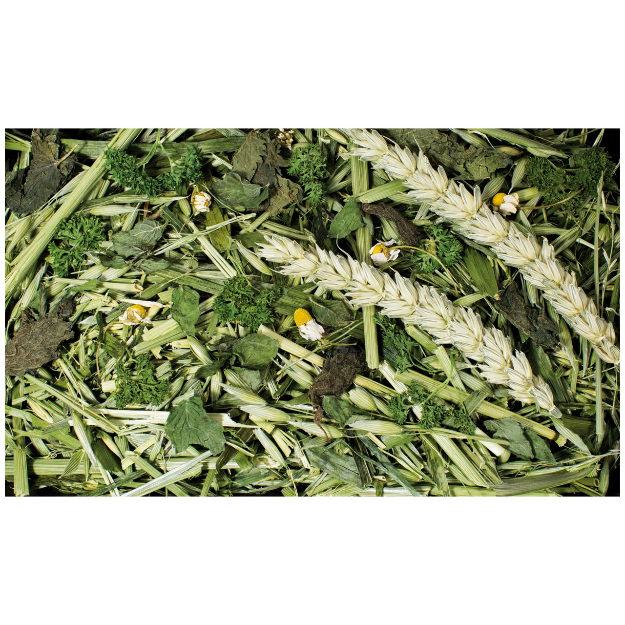 JR Farm - Kräutergarten - 6 x 100g - 2