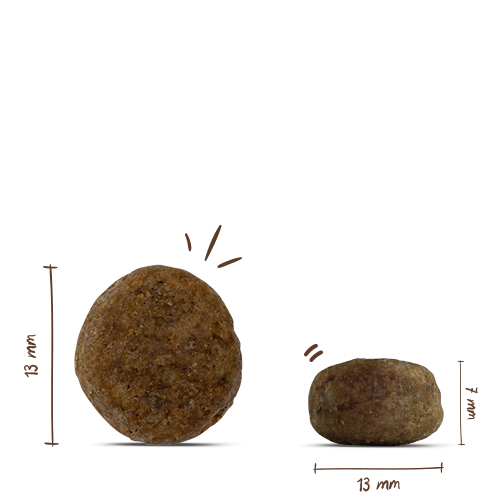 Bosch - Light - 1 x 2,5kg - 2