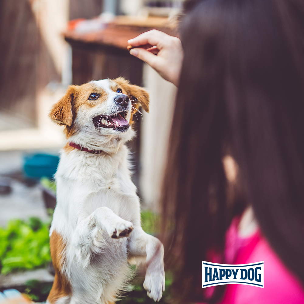 Happy Dog - Soft Snack Toscana - 1 x 100g - 5