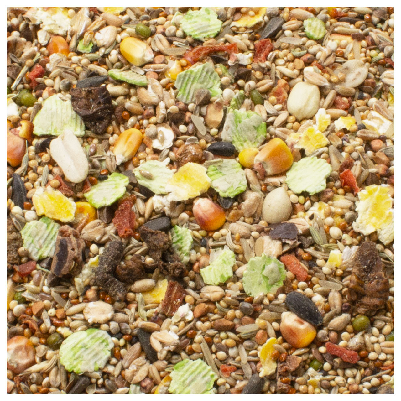 JR Farm - Rennmäuse-Schmaus - 1 x 600g - 2