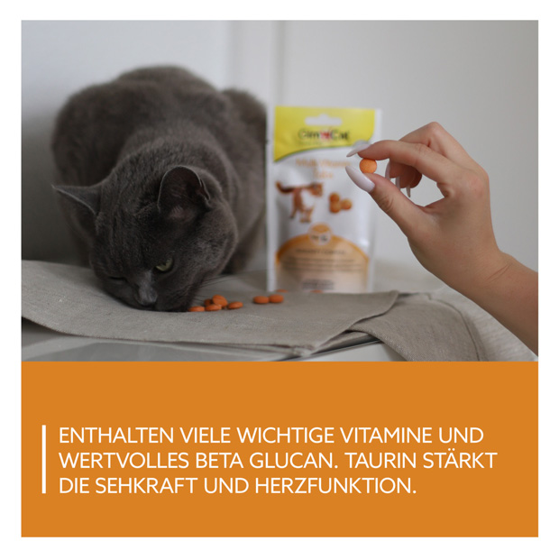 GimCat - Multi-Vitamin Tabs - 8 x 40g - 5