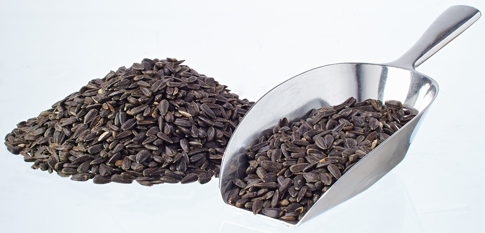 Sonnenblumenkerne schwarz 25kg