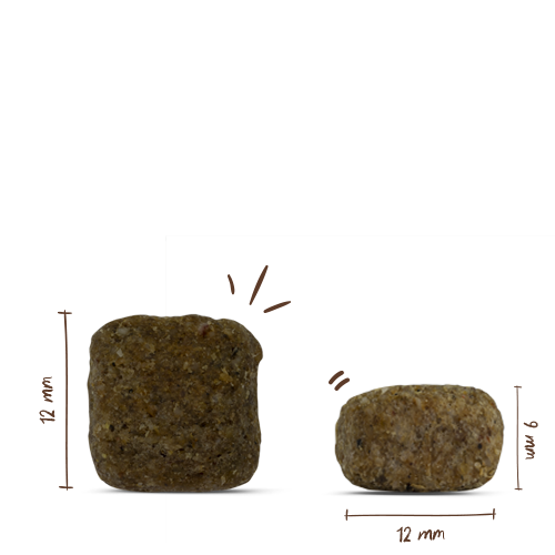 Bosch - Senior - 1 x 2,5kg - 3