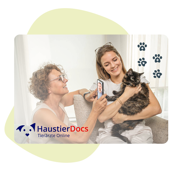 haustierdocs-videoberatung-zwei-frauen-mit-katze