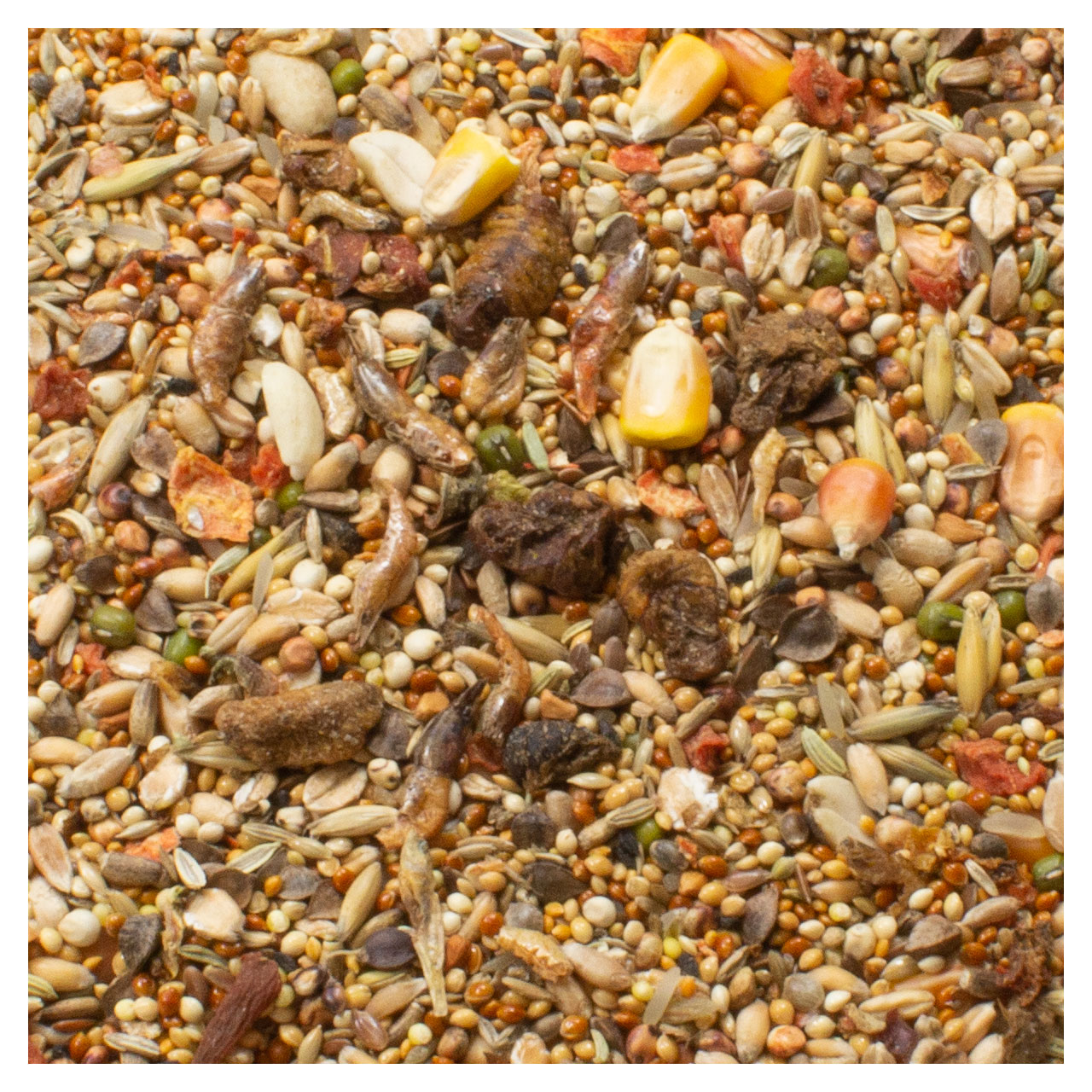 JR Farm - Hamster-Schmaus - 1 x 600g - 2