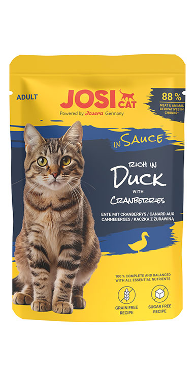 rich in Duck in Sauce