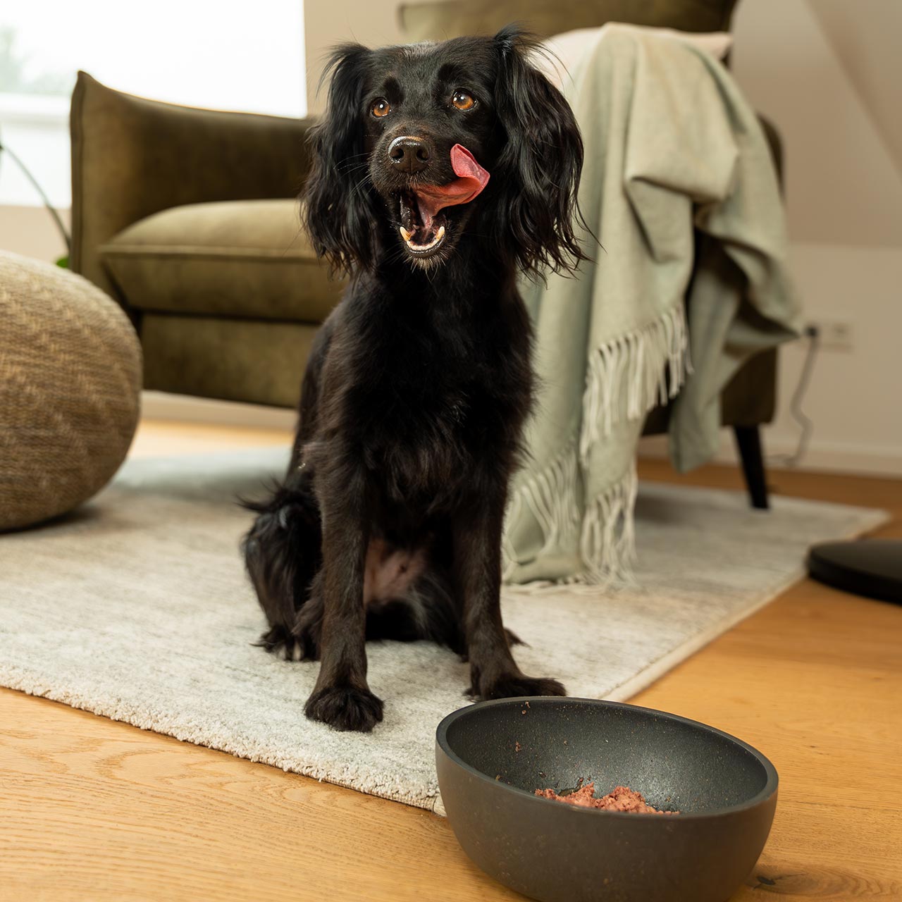 Primox - Hunde Nassfutter MENÜ mit Rind 6 x 400G - 6 x 400g - 5