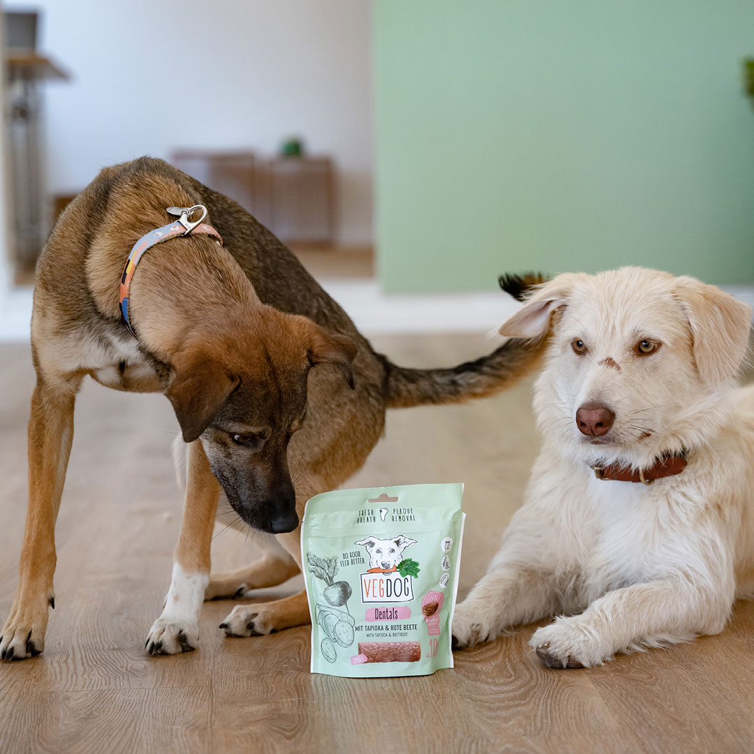 Vegdog - Dentals mit Tapioka & Roter Beete - 1 x 120g - 5