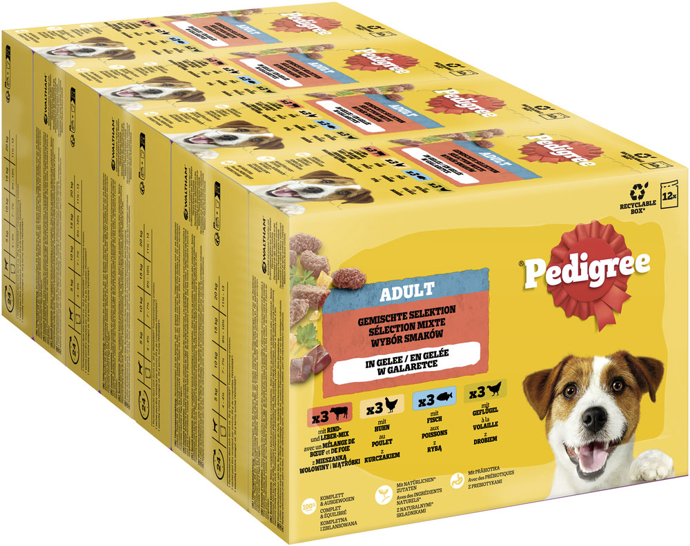 Pedigree - Multipack gemischte Selektion in Gelee - 1 x 12X100g - 2