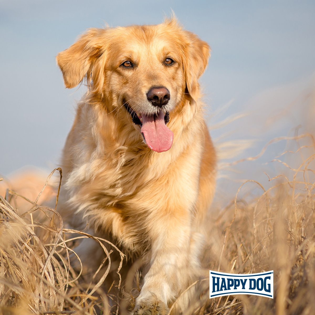 Happy Dog - Natur-Croq Senior - 1 x 4kg - 5