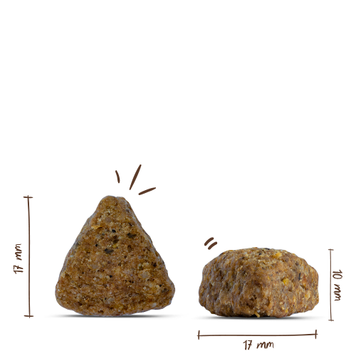 Bosch - Adult Ente & Reis - 1 x 3kg - 2