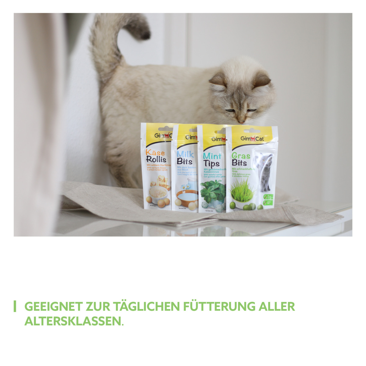 GimCat - GrasBits - 8 x 40g - 2