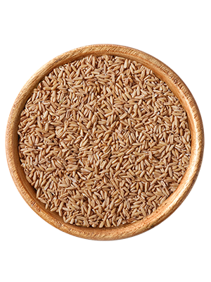 elles - Haferkerne 25kg - 1 x 25kg - 2