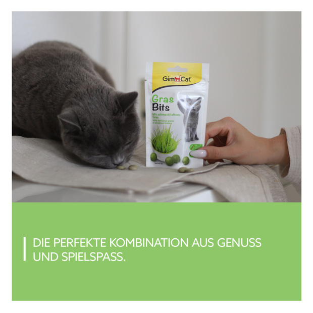 GimCat - GrasBits - 8 x 40g - 5